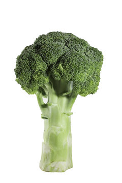 isolate broccoli