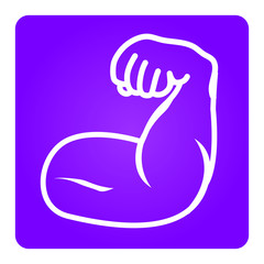 2D Vector Spinal column Musculoskeletal Image with Rounded Rectangle on White Background