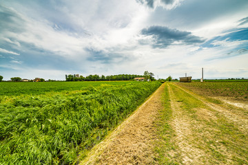 the agriculture fields of Emilia Romagna