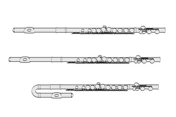 2d cartoon illustration of flutes © bescec
