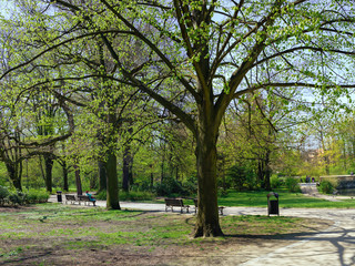 Peaceful park in the city