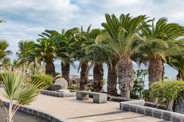 Lanzarote  Palmen und Kakteen mit Blick auf den Atlantik bei bewölktem Himmel 