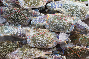Fresh blue crab at a seafood market.