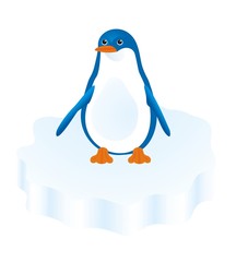 Пингвин на льдине