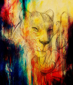 Lioness with flower, pencil drawing. Color effect and Computer collage.