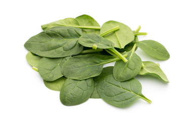 Spinach on the isolated white.