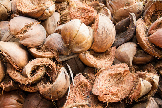 Pile coconut shell for use as fuel.