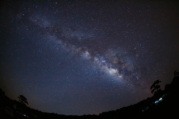 Fototapeta na wymiar Beautiful milky way galaxy on a night sky and silhouette of tree