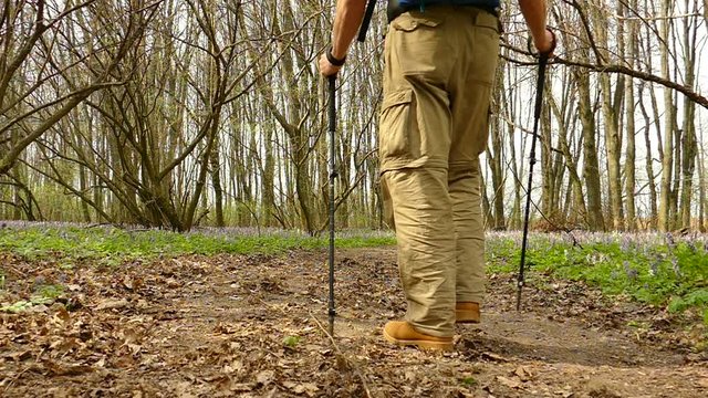 
. Adult Man hiker on  green spring forest. Healthy lifestyle. Slow motion at 100 FPS

