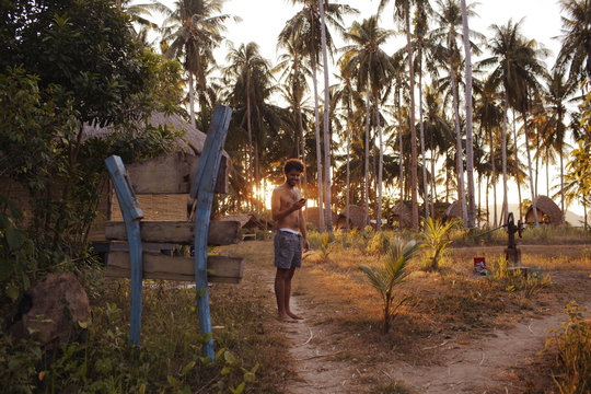 Coucher de soleil pr&egrave;s des cocotiers