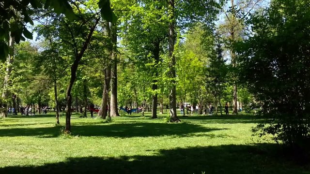 People with hammocks in the Central Park of Cluj Napoca, Romania