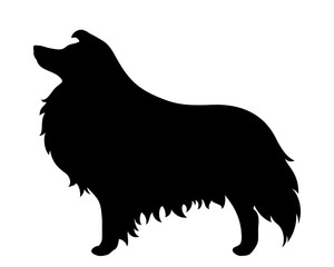 Vector black silhouette of a collie dog isolated on a white background.