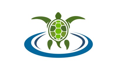 turtle vector
