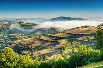 Fotobehang Foggy Landscape Galicia Spain © tichr