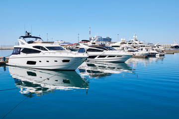 Sea yachts in dock © Sergey Ryzhov