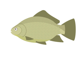 desert fish floats to a better life