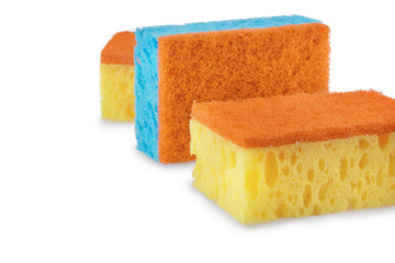 Sponges