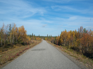 Fototapeta na wymiar unendlich/einsame Strasse im herbst in Nord-Norwegen