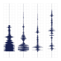Seismogram waves print