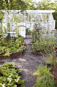 Vegetable patch and greenhouse