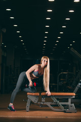 Fototapeta na wymiar Brutal athletic woman pumping up muscles with dumbbells in gym