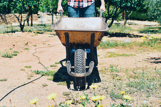 Young Farmer Man Pushing A Wheelbarrow