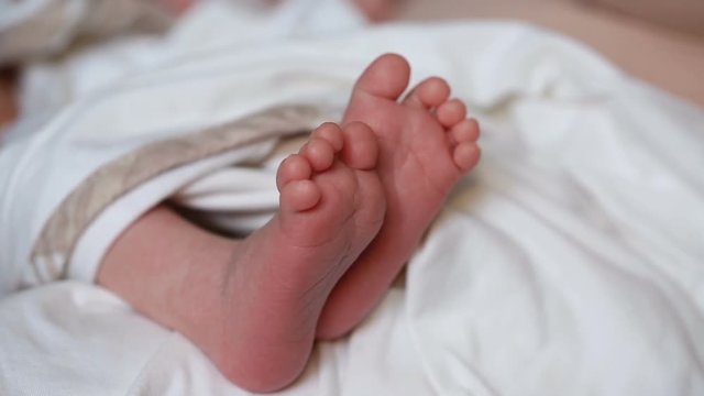 A newborn's baby feet. Maternity