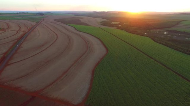 sugar cane plantation in sunset in Brazil - aerial view - Canavial 