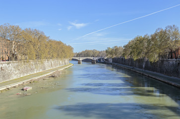 Fototapeta na wymiar Tiber River in Rome, Italy