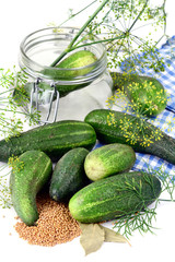 Cucumber and dill spice for canning in jar