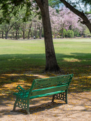 Empty chair in park