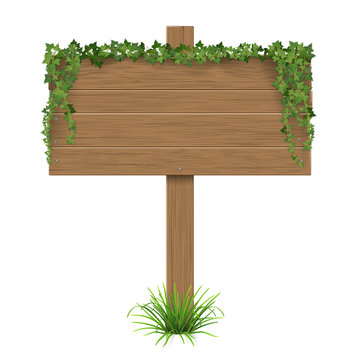 Wooden signpost covered of ivy sticks out of the grass. The template with blank space for text.