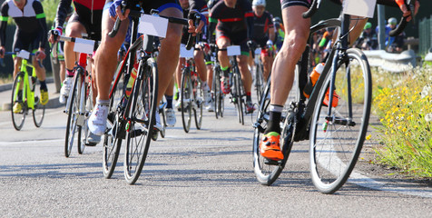 Fototapeta na wymiar many racing bikes led by trained cyclists