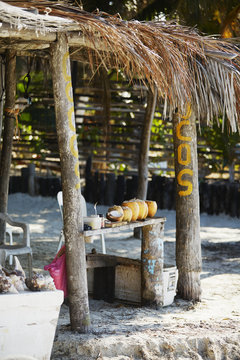 Coconuts on stall