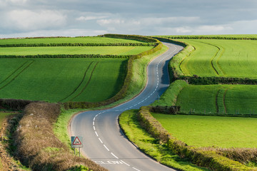 Rural road on rolling hills in countryside