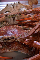 Boiled Crabs Ready to cook for Thai Crab Curry