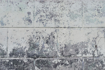 Wall fragment with attritions and cracks