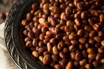 Raw Dry Organic Fava Beans