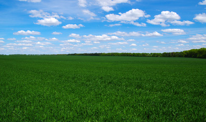 green field