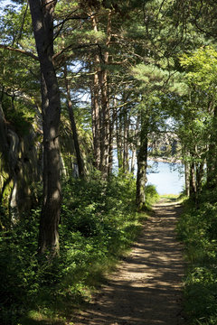 Footpath leading to sea