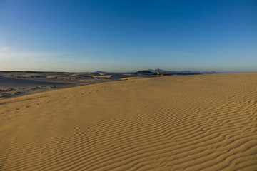 Natural-park, Corralejo , Fuerteventua, Canary Islands, Spain