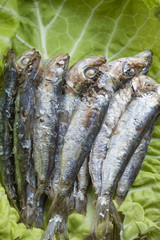 fried sardines on the plate