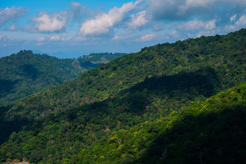 Mountain forest sly lanscape