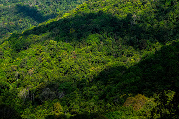 Mountain forest sly lanscape