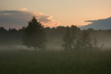Fototapeta na wymiar Sunset over the meadow under fog