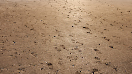 Footprints in the sand