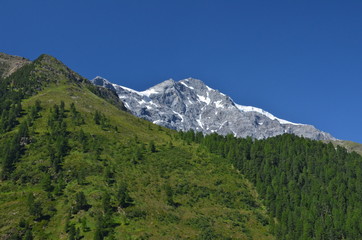Fototapeta na wymiar Val Venosta, Vinschgau, South Tyrol, Italy 