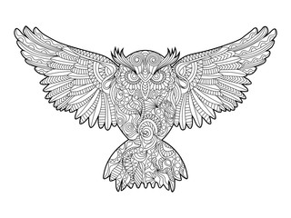 Owl coloring book for adults vector