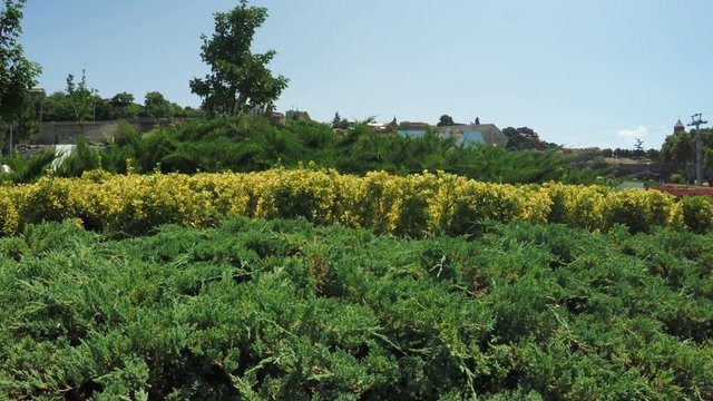 Flower Garden in city park