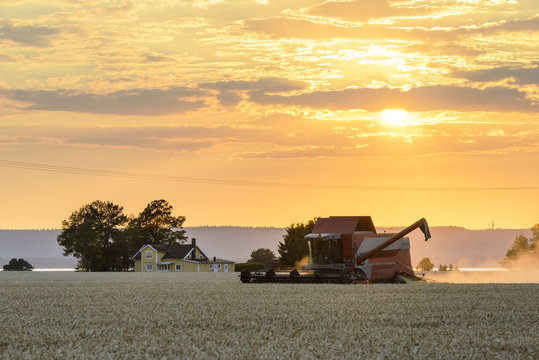 Combine harvester working in field